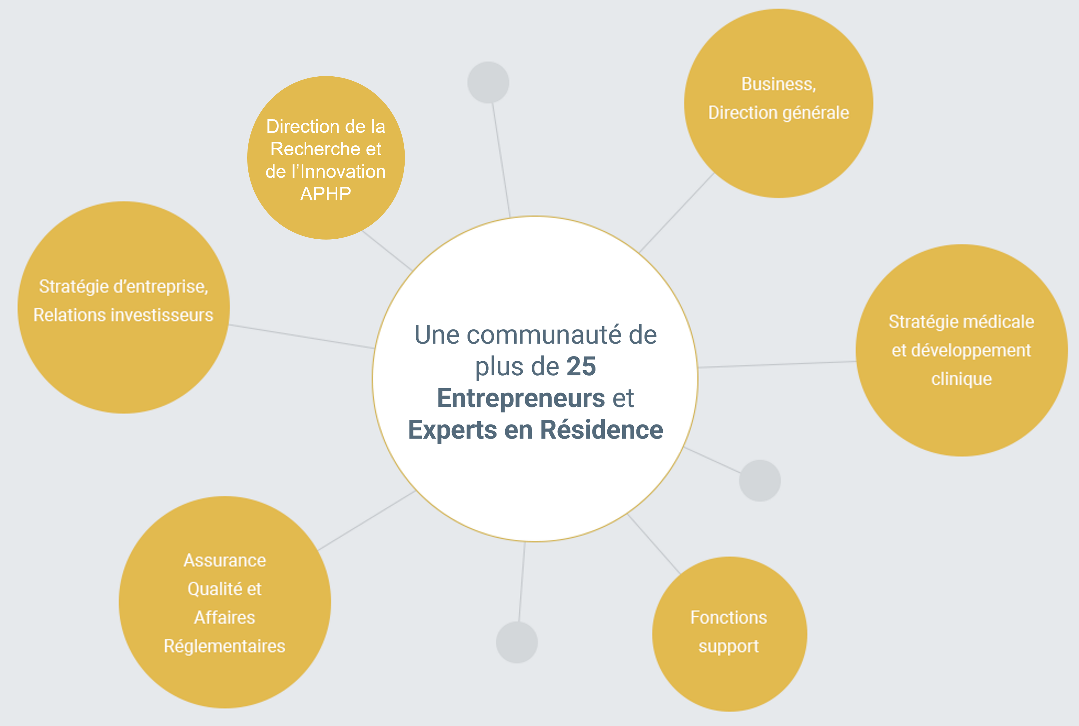 Arborescence FR
