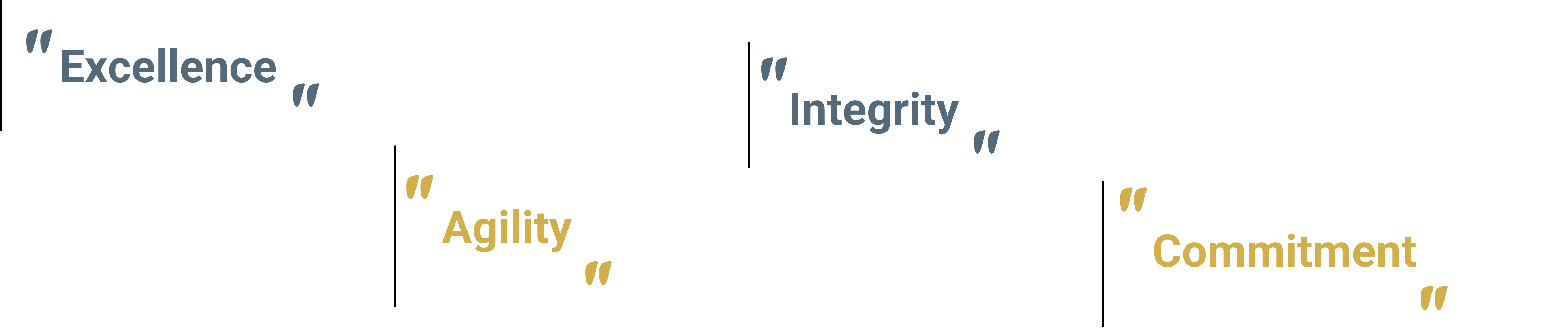 Our values